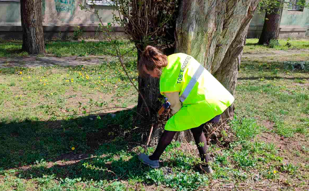Щоденне прибирання міста: чистота і порядок від компанії Екологія-Д