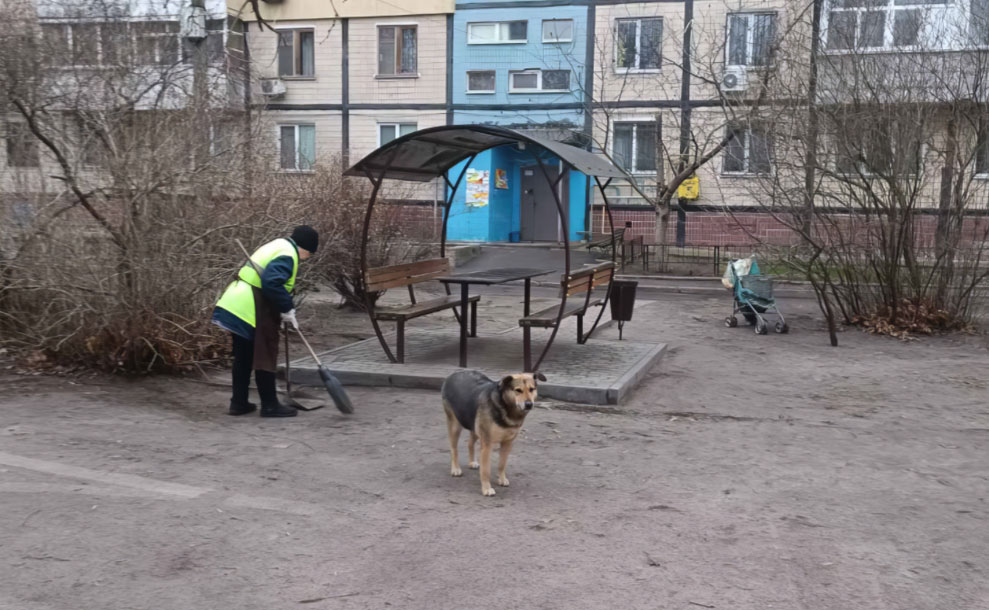 Як «Екологія-Д» забезпечує зручність для мешканців у будь-яку погоду