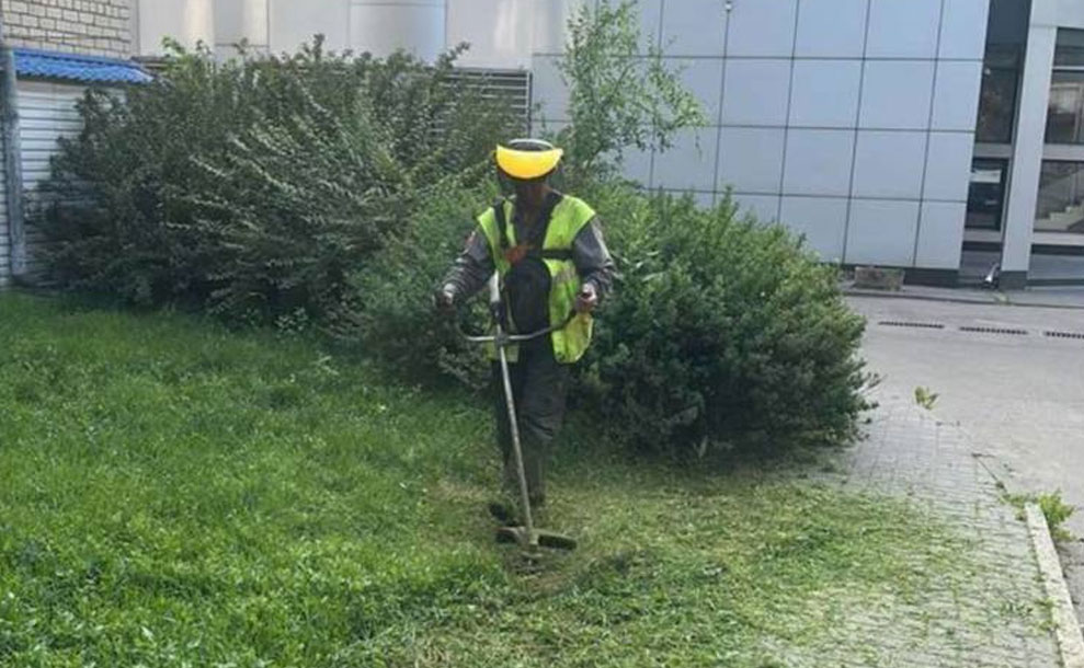 Компанія « Екологія-Д» регулярно проводить покіс трави