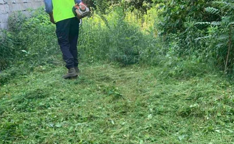 Компанія « Екологія-Д» регулярно проводить покіс трави