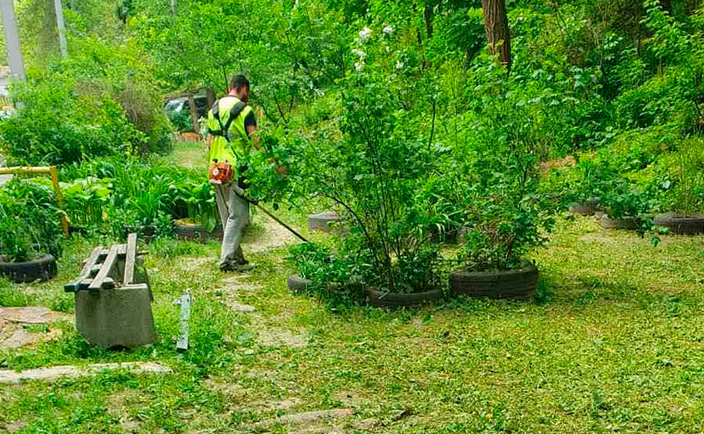 Дбаємо про місто: триває покіс трави від «Екології Д»