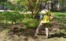 як робітники «Екології-Д» дбають про чистоту вулиць