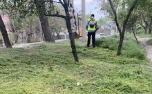 «Екологія Д» розпочала сезон покосу трави