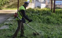 Боротьба з бур’янами триває: «Екологія-Д» на варті міста