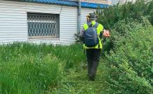 Дбаємо про місто: триває покіс трави від «Екології Д»