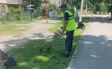 Компанія « Екологія-Д» регулярно проводить покіс трави