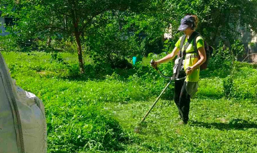 Покіс трави - затребувана послуга у літній період