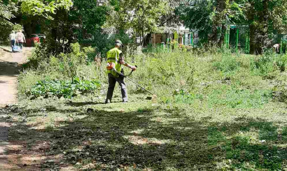 Покіс 28-31 серпня