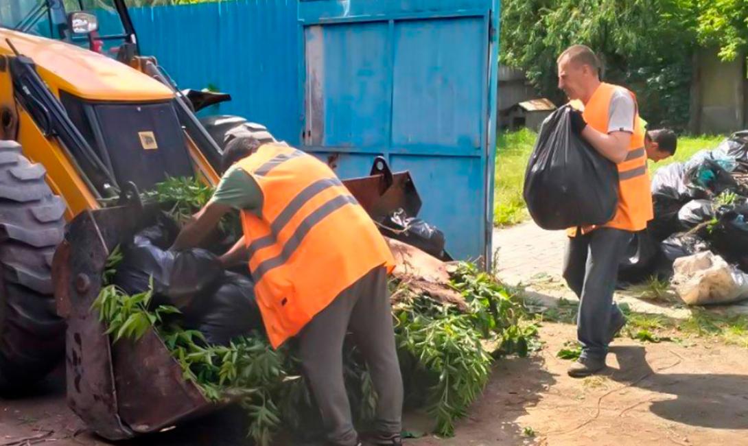 « Екологія-Д» активно здійснює процес ліквідації стихійних сміттєзвалищ
