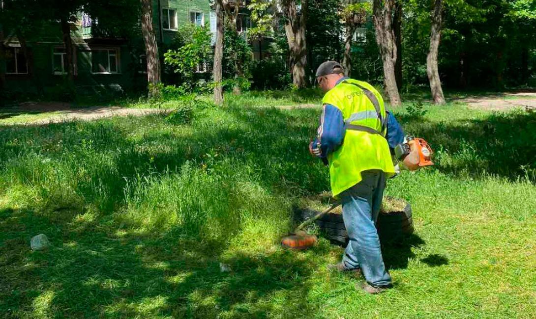 Настають спекотні дні, і актуальним стає завдання покосу трави